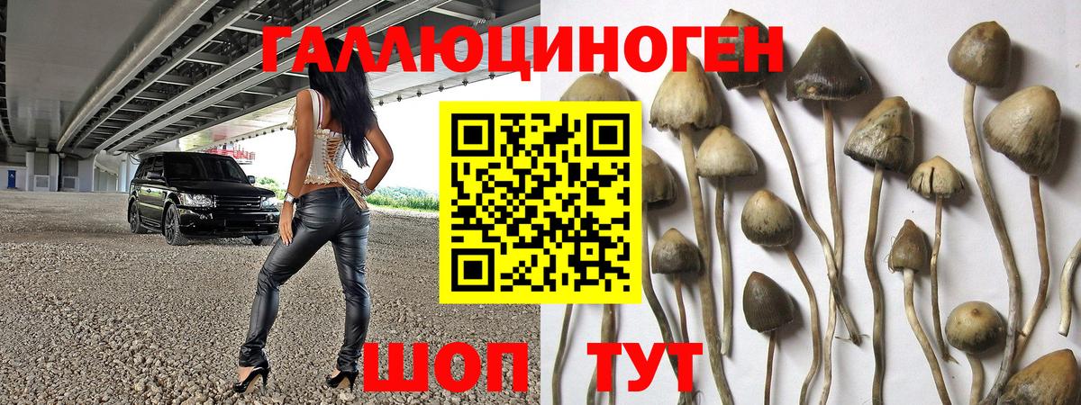 Псилоцибиновые грибы Magic Shrooms Чебоксары