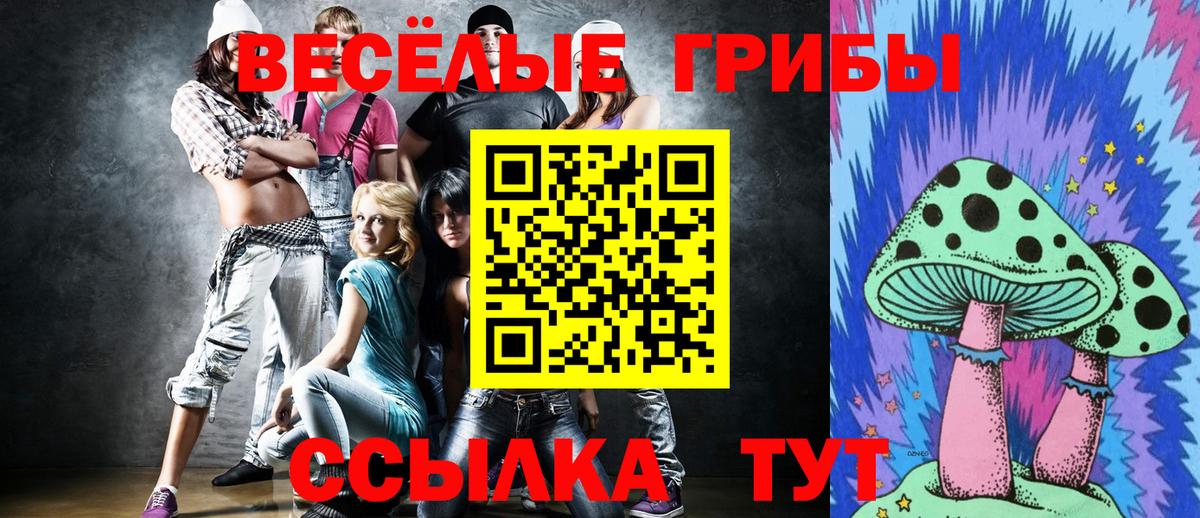 Псилоцибиновые грибы Psilocybine cubensis  Вход с VPN  Чебоксары 